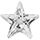 Clear CZ Star Icon