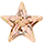 Peach CZ Star Icon