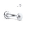surgical steel push pin style labret stud featuring a 2.5mm disc design. Image also shows the back side of the 2.5mm disc design insert