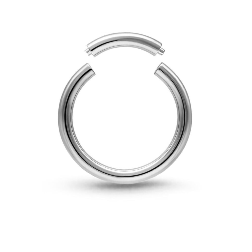 Surgical Steel Segmented Nose Hoop Secondary pick showing segments separated