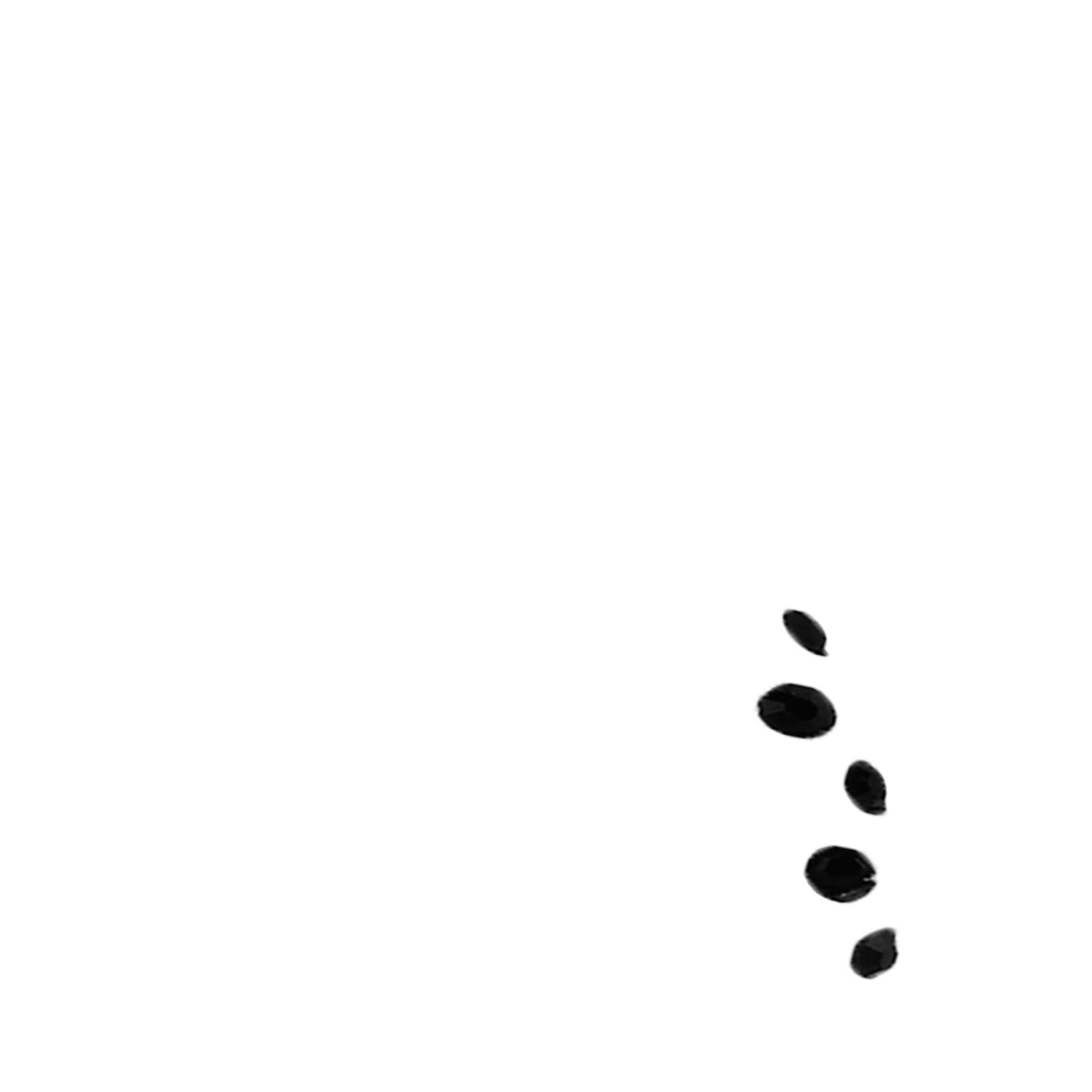 surgical-steel-sterling-silver-nose-hugger-5-stone-NS565-D1645-black