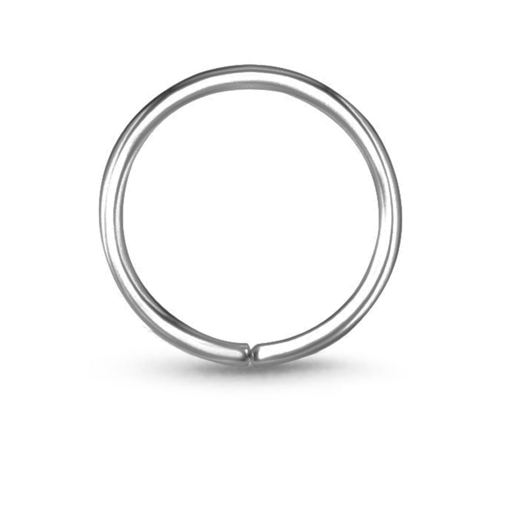 Titanium Seamless Continuous Nose Ring Hoop